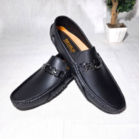 Ravoren Elric - SPBDB1