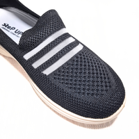 Ravoren Linea - CH06